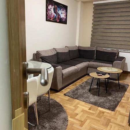 Mirkovic Lux Apartman นิส ภายนอก รูปภาพ