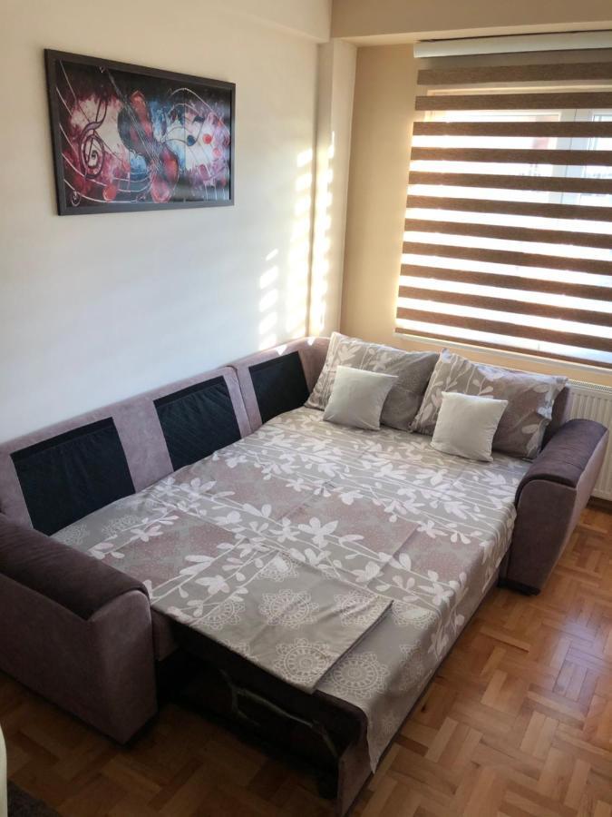 Mirkovic Lux Apartman นิส ภายนอก รูปภาพ
