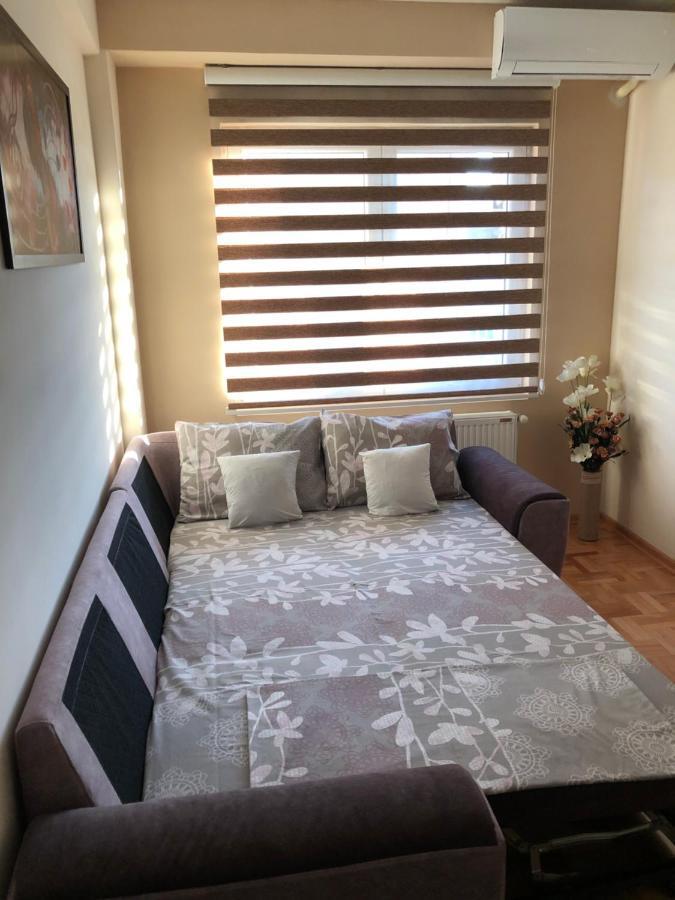 Mirkovic Lux Apartman นิส ภายนอก รูปภาพ